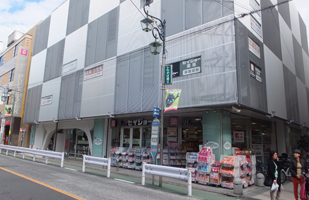 しらかば通り